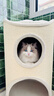 兽牌树洞剑麻桶猫窝猫抓板一体剑麻猫爬架双层大猫屋半封闭式冬季保暖 燕麦奶白丨47cm加大号 实拍图