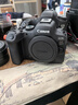 佳能（Canon）EOS R6 Mark II 全画幅微单数码相机R6二代 单机身 （约40张每秒连拍/6K超采样4K短片） 实拍图