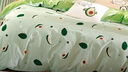梦洁家纺 100%纯棉四件套全棉 水果系列床单被套床上用品 1.8米床 果绿  实拍图
