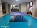 双鱼乒乓球桌标准室内25MM面板比赛球台彩虹脚展翅X1【含网架球网】 实拍图