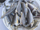 虾有虾途去头小黄花鱼鲜活冷冻小黄鱼海捕鱼海鱼整箱批发价4斤净重 【去头】深海小黄鱼 4斤去头小黄鱼 实拍图