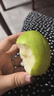 京鲜生 新疆库尔勒香梨 净重10斤 特级 单果120g以上 生鲜水果 实拍图