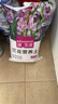 漫生活兰花专用土15L营养土养花土进口椰糠泥炭土松树皮蝴蝶兰种植土壤 实拍图