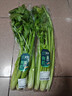 【有机】芹菜（西芹）400g 实拍图