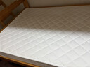 城市爱情喜临门床垫大白垫乳胶椰棕床垫独袋弹簧海绵垫子床架软硬两用 乳胶+独袋+椰棕(厚21cm) 1.35*2米 实拍图