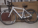 喜德盛公路自行车RC200入门休闲14速变速铝合金车架公路车 2025款RC200 白/灰 700C*480（建议身高165-175） 实拍图