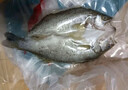 钓鱼记海鲈鱼块1斤(2袋装*250g) 免调味 冷冻 辅食 生鲜 海鲜鱼类 实拍图
