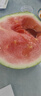 京鲜生 无籽麒麟西瓜 1粒装 单果5-7斤 生鲜水果 实拍图