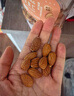 新边界 原味巴旦木仁400g 每日坚果炒货休闲零食干果扁桃仁大杏仁 实拍图