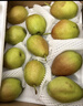 京鲜生 长城玉露香梨 山西 净重5斤 单果150g+ 生鲜水果礼盒 实拍图