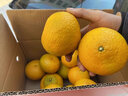 京觅江西赣南会昌桔柚 9斤净重黄金贡柚 甜橘子大果75mm+水果源头直发 实拍图