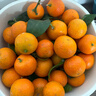 京地达广东砂糖橘新鲜水果净重5斤中小果35-45mm源头直发包邮 实拍图