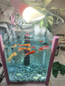 森森 小鲤鱼缸过滤器净水循环三合一内置水族箱过滤系统XQP-500F 6W 实拍图