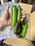 水果黄瓜无刺减肥好搭配可即食生鲜蔬菜 【优选】 2斤 带箱 实拍图