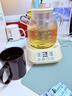 WIFER养生壶烧水壶热水壶恒温壶养生烧水壶煮茶壶煮茶器泡茶壶一体机全自动玻璃保温小家用 【带茶漏款】240分钟恒温+涂层发热盘 1.2L 实拍图