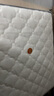 全友家居 进口天然乳胶床垫1.5x2米弹簧环保椰棕偏硬床垫子家用105190 实拍图