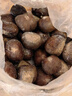 密农人家2025新鲜板栗 生板栗 毛栗子椎栗 生栗子 板栗很甜新油板栗 3斤 头标板栗2斤（带开栗子神器） 实拍图