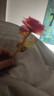 七彩炫光玫瑰花星空彩金浪漫情人节七夕送老婆女友生日礼物金箔 彩金红玫瑰花 【送它一朵永不凋零的爱意玫瑰】 实拍图