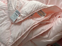 LOVO罗莱家纺 撞色青春蓄暖德绒抗菌冬被子150*215cm粉色 实拍图