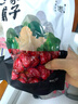 方家铺子中华老字号 新疆灰枣500g 1斤红枣果干新疆特产 泡茶煲汤煮粥零食 实拍图