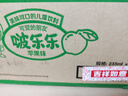 啵乐乐儿童饮料 韩国进口果汁饮品整箱苹果味 235ml*24瓶 实拍图
