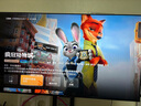 华为Vision智慧屏 5 SE 65英寸 鸿蒙AI搜片MiniLED国家补贴Mate 80投屏好搭档平板电视机HD65KULU 实拍图