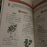 国医绝学百日通系列——手足按摩治百病等 阅读狂欢节 KBCT 【超值】土单方 实拍图