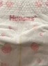 好奇（Huggies）铂金装小桃裤纸尿裤M144片(6-11kg)中号尿不湿【透爽散热】 实拍图