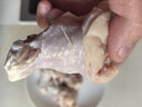 大用单冻鸡翅根2斤 鸡肉翅根 烤鸡翅根炸鸡翅 卤翅根 清真食品 实拍图