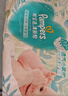 帮宝适超薄透气清新帮透氧Pro新生儿婴儿纸尿裤尿不湿尿片尿布S60 实拍图