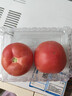 番茄约500g 实拍图