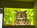 HKMW机HLAWEI适用新款4K超高清投影仪家用激光电视卧室客厅家庭影院手机屏投影墙上宿舍小型一体投 超顶配8K解码【电动对焦+HDMI+5G满配置+特 实拍图