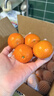 京鲜生 广西砂糖橘 净重8斤 单果45mm+ 生鲜水果 源头直发包邮 实拍图