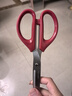 得力(deli)210mm办公生活家用剪刀 大号剪子手工剪纸刀 办公用品 红色6010 实拍图