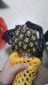 正宗海南金钻凤梨新鲜水果当季树上熟芒果凤梨【催熟食用】 1粒装单果500g-650g【7成熟，催熟再吃】 实拍图