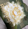 babycare金山茶花纸尿裤S58片(4-8kg)新生儿婴儿尿不湿超薄透气轻柔花苞裤 实拍图