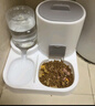 疯狂的主人自动喂食器猫碗猫咪饮水机猫狗食盆大容量饮水一体自动出粮猫狗碗 实拍图