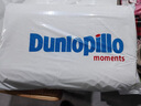 邓禄普（Dunlopillo）ECO超柔低枕 斯里兰卡进口天然乳胶枕头 颈椎枕  实拍图