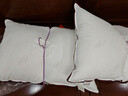 水星家纺枕头枕芯酒店枕头护颈枕头芯家用一对纯棉抗菌可水洗低枕48x74cm 实拍图