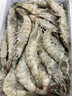鲜京采 原装进口厄瓜多尔白虾 净重3.3斤 大号30-40规格 50-66只/盒 实拍图