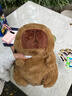 卡皮巴拉毛绒玩具公仔儿童生日礼物女孩情人节礼物水豚毛绒玩偶 卡皮巴拉公仔 1个装（新人专享） 实拍图
