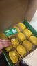 佳沛（zespri）新西兰 阳光金奇异果12粒礼盒特大果单果约122-146g 猕猴桃 水果 实拍图
