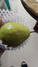 源自新疆红香酥梨新鲜梨子3/5/10斤脆甜皮薄梨子应季水果整箱批发 净重9斤精选大果 实拍图