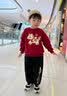 史努比儿童套装秋冬男童过年服装2026马年红色新年服女童保暖拜年服童装 【拜年服套装】酒红 努比刺绣马_5+黑 努比圆福马X_K5 110 实拍图