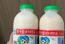 李子园【成毅代言】甜牛奶乳饮料哈密瓜味225ml*20瓶儿童早餐奶送礼黑五 实拍图