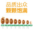 佳沛（zespri）新西兰 阳光金奇异果12粒礼盒特大果单果约122-146g 猕猴桃 水果 实拍图