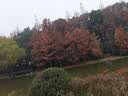 京呈CC388A适用惠普hp1108 p1106 1007 1008 cc388a 226dw m226dn m1136 1216nfh 1213nf 88a硒鼓企业版4支 实拍图