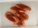 九节虾干即食烤虾干海鲜干货深海大虾 零食对虾烤虾干净重 虾干100克（约80只） 实拍图
