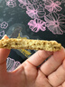 悠采猴头菇0糖饼干408g养胃人可食用无糖粗粮酥性曲奇糖人休闲零食 实拍图