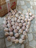 京鲜生河南杞县大蒜带皮干蒜净重5斤单果5.5-6cm 源头直发包邮 实拍图